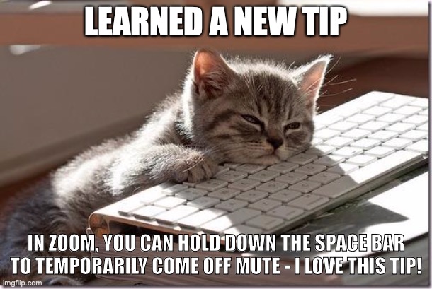 new tip | LEARNED A NEW TIP; IN ZOOM, YOU CAN HOLD DOWN THE SPACE BAR TO TEMPORARILY COME OFF MUTE - I LOVE THIS TIP! | image tagged in bored keyboard cat | made w/ Imgflip meme maker