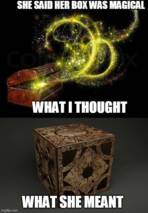 SHE SAID HER BOX WAS MAGICAL; WHAT I THOUGHT; WHAT SHE MEANT | image tagged in lament configuration | made w/ Imgflip meme maker