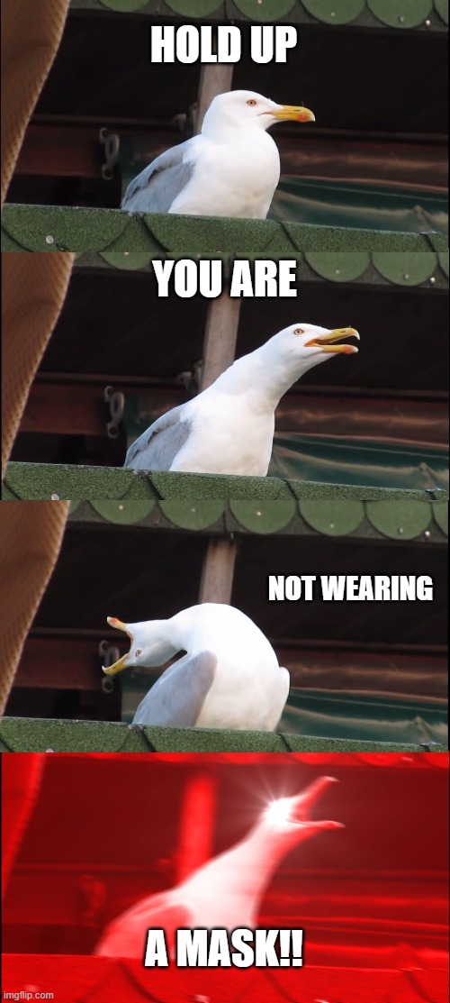 Old people at my job be like | HOLD UP; YOU ARE; NOT WEARING; A MASK!! | image tagged in memes,inhaling seagull | made w/ Imgflip meme maker