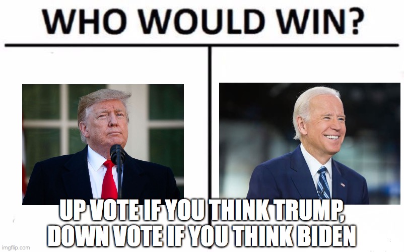 I put some money on this one! | UP VOTE IF YOU THINK TRUMP, DOWN VOTE IF YOU THINK BIDEN | image tagged in memes,who would win | made w/ Imgflip meme maker