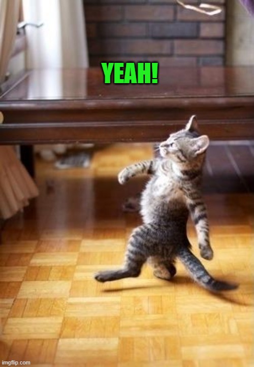 YEAH! | image tagged in proud kitty | made w/ Imgflip meme maker