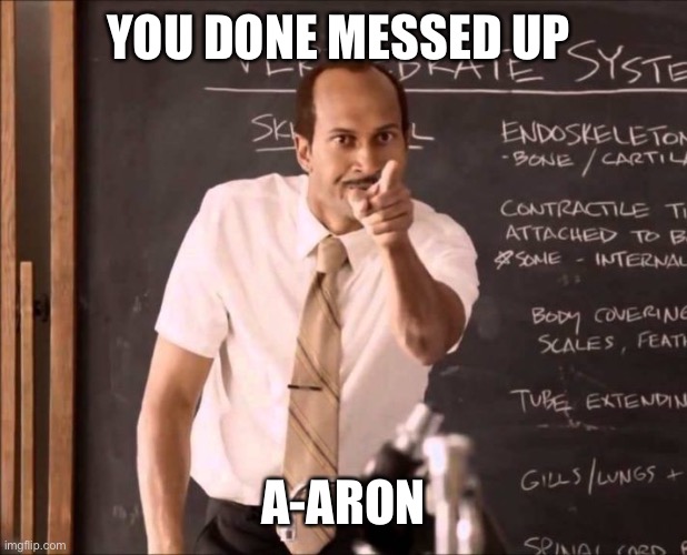 A-Aron | YOU DONE MESSED UP A-ARON | image tagged in a-aron | made w/ Imgflip meme maker