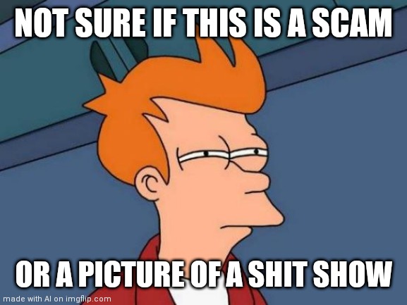 Futurama Fry | NOT SURE IF THIS IS A SCAM; OR A PICTURE OF A SHIT SHOW | image tagged in memes,futurama fry | made w/ Imgflip meme maker