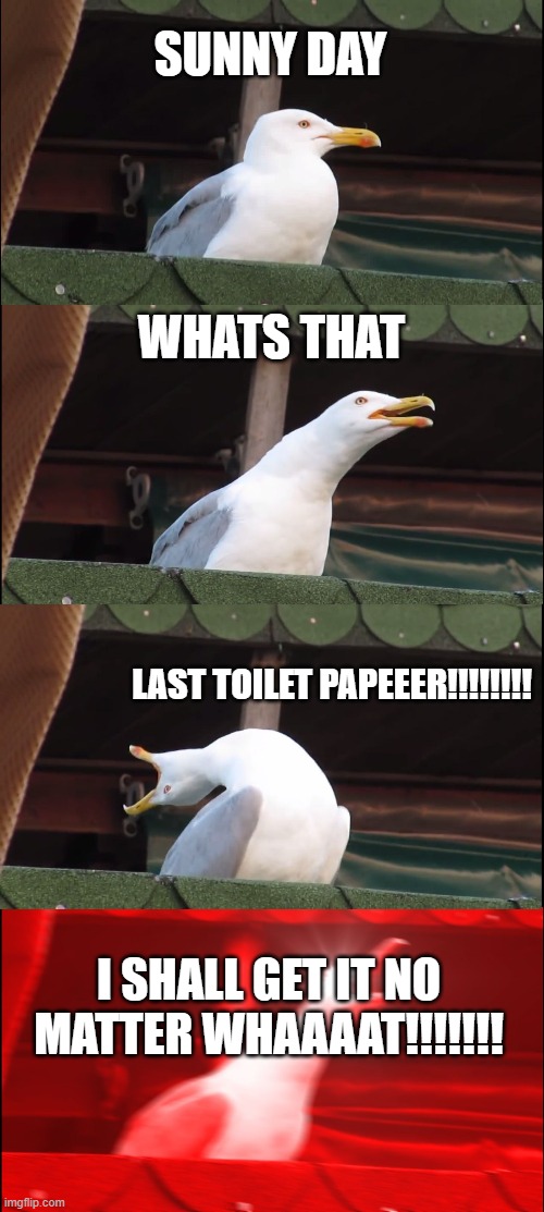 TOILET PAPER 2020 | SUNNY DAY; WHATS THAT; LAST TOILET PAPEEER!!!!!!!! I SHALL GET IT NO MATTER WHAAAAT!!!!!!! | image tagged in memes | made w/ Imgflip meme maker