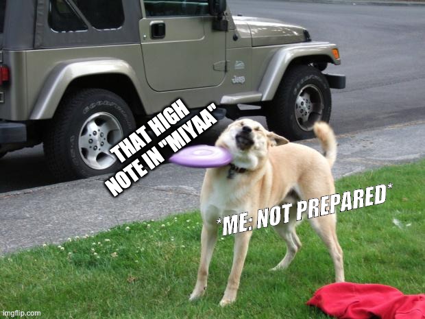miyaa high note | THAT HIGH NOTE IN "MIYAA"; *ME: NOT PREPARED* | image tagged in frisbee dog fail | made w/ Imgflip meme maker