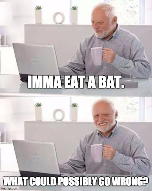 Yeah, right..... | IMMA EAT A BAT. WHAT COULD POSSIBLY GO WRONG? | image tagged in memes,hide the pain harold | made w/ Imgflip meme maker