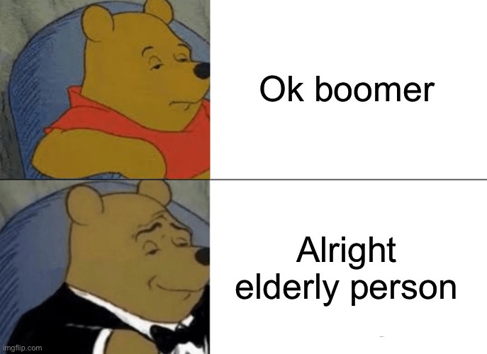 Tuxedo Winnie The Pooh Meme | Ok boomer; Alright elderly person | image tagged in memes,tuxedo winnie the pooh | made w/ Imgflip meme maker
