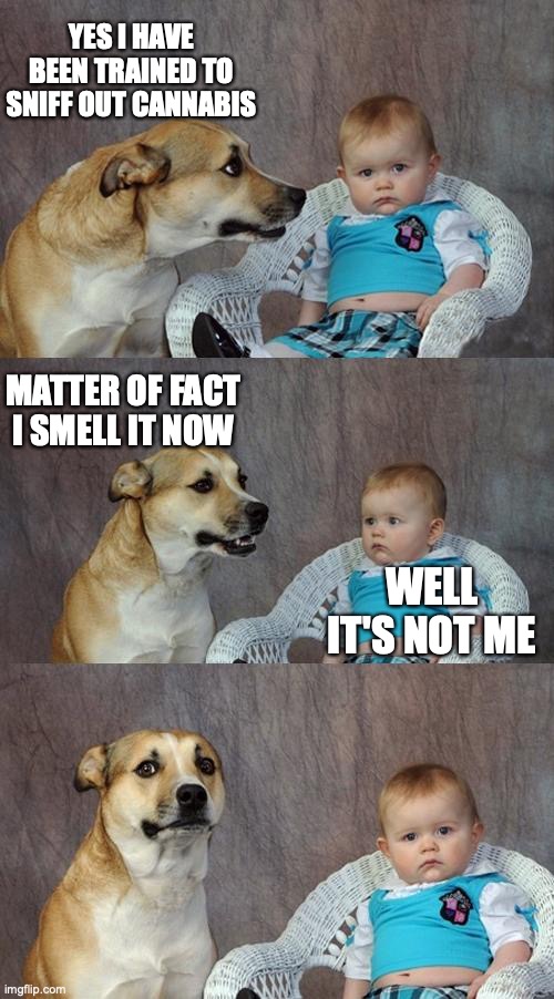 Dad Joke Dog | YES I HAVE BEEN TRAINED TO SNIFF OUT CANNABIS; MATTER OF FACT I SMELL IT NOW; WELL IT'S NOT ME | image tagged in memes,dad joke dog | made w/ Imgflip meme maker