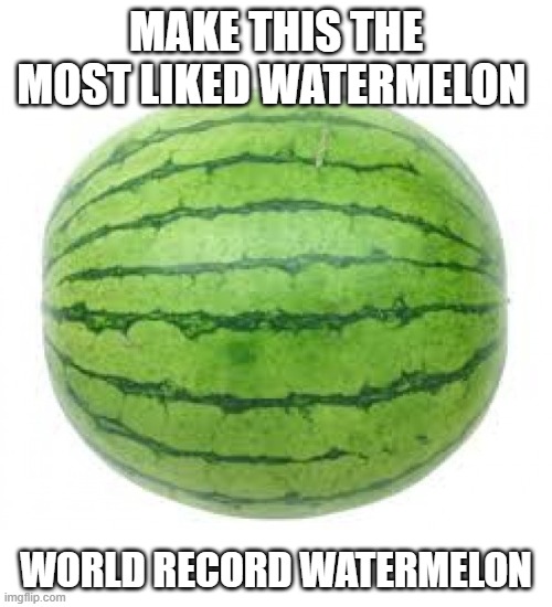 WORLD RECORD WATERMELON | MAKE THIS THE MOST LIKED WATERMELON; WORLD RECORD WATERMELON | image tagged in watermelon,guinness world record | made w/ Imgflip meme maker