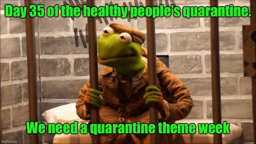 Kermit in jail | Day 35 of the healthy people’s quarantine. We need a quarantine theme week | image tagged in kermit in jail | made w/ Imgflip meme maker