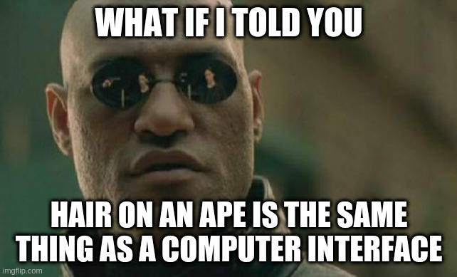 Matrix Morpheus | WHAT IF I TOLD YOU; HAIR ON AN APE IS THE SAME THING AS A COMPUTER INTERFACE | image tagged in memes,matrix morpheus | made w/ Imgflip meme maker