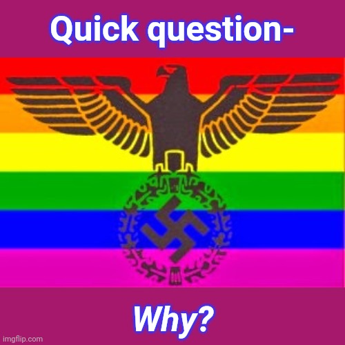 Nazi Rainbow Flag, Gay Nazis, Pink Swastika, Ernst Rohm, Walther | Quick question-; Why? | image tagged in nazi rainbow flag gay nazis pink swastika ernst rohm walther | made w/ Imgflip meme maker