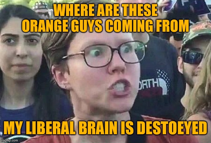 help | WHERE ARE THESE ORANGE GUYS COMING FROM; MY LIBERAL BRAIN IS DESTOEYED | image tagged in triggered liberal,politics lol,imgflip community,imgflippers,meanwhile on imgflip,the daily struggle imgflip edition | made w/ Imgflip meme maker