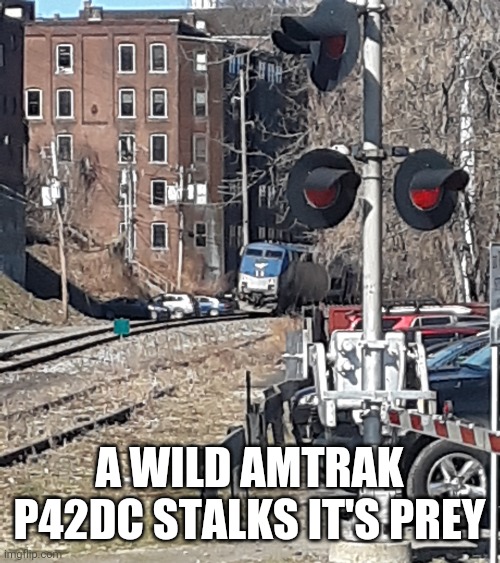 P42DC | A WILD AMTRAK P42DC STALKS IT'S PREY | image tagged in sneaky | made w/ Imgflip meme maker