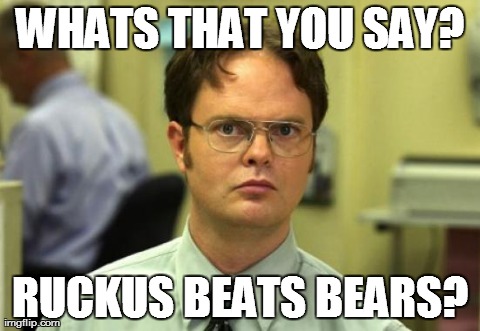 Dwight Schrute Meme | WHATS THAT YOU SAY? RUCKUS BEATS BEARS? | image tagged in memes,dwight schrute | made w/ Imgflip meme maker