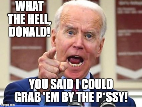 Media silence | WHAT THE HELL, DONALD! YOU SAID I COULD GRAB 'EM BY THE P*SSY! | image tagged in joe biden,rapist,scandal,double standards | made w/ Imgflip meme maker