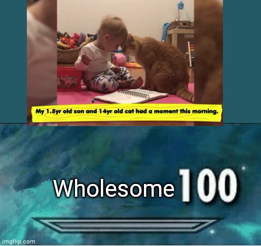 Wholesome | Wholesome | image tagged in skyrim 100 blank | made w/ Imgflip meme maker