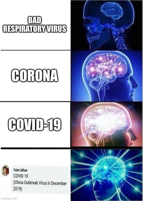 Coronavirus names big brain | BAD RESPIRATORY VIRUS; CORONA; COVID-19 | image tagged in memes,expanding brain,coronavirus,funny | made w/ Imgflip meme maker