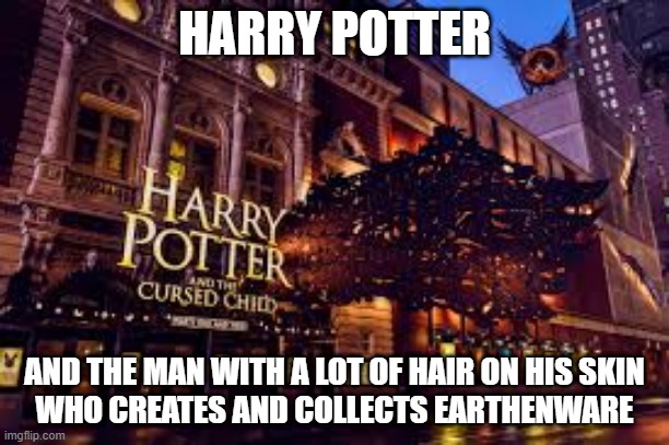 Harry Potter meme | HARRY POTTER; AND THE MAN WITH A LOT OF HAIR ON HIS SKIN
WHO CREATES AND COLLECTS EARTHENWARE | image tagged in harry potter | made w/ Imgflip meme maker