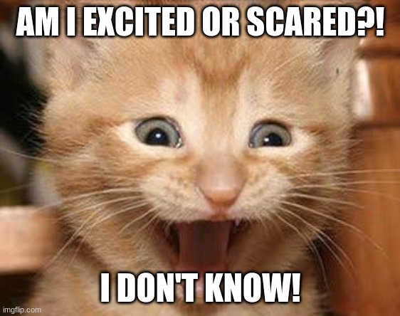 Excited Cat Meme | AM I EXCITED OR SCARED?! I DON'T KNOW! | image tagged in memes,excited cat | made w/ Imgflip meme maker