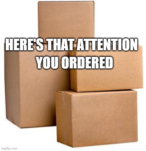 Delivery For Attention Seekers Imgflip