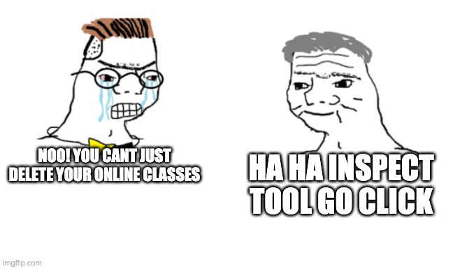 Online school | NOO! YOU CANT JUST DELETE YOUR ONLINE CLASSES; HA HA INSPECT TOOL GO CLICK | image tagged in noooo you can't just | made w/ Imgflip meme maker