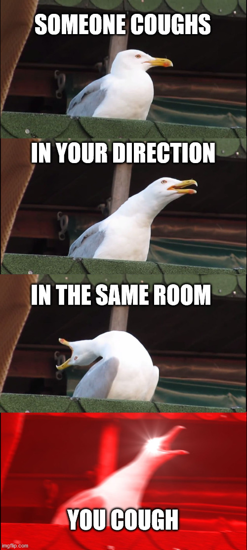 Inhaling Seagull Meme | SOMEONE COUGHS; IN YOUR DIRECTION; IN THE SAME ROOM; YOU COUGH | image tagged in memes,inhaling seagull | made w/ Imgflip meme maker
