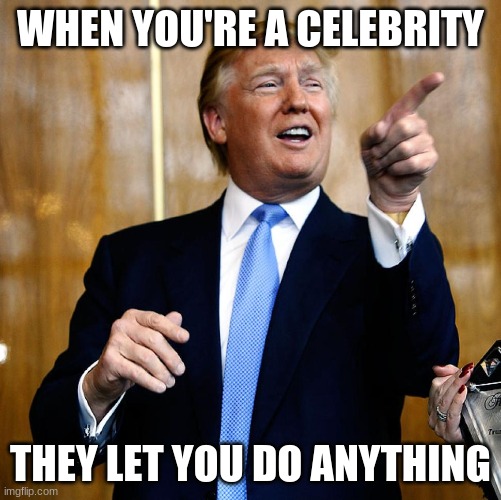 Donal Trump Birthday | WHEN YOU'RE A CELEBRITY THEY LET YOU DO ANYTHING | image tagged in donal trump birthday | made w/ Imgflip meme maker