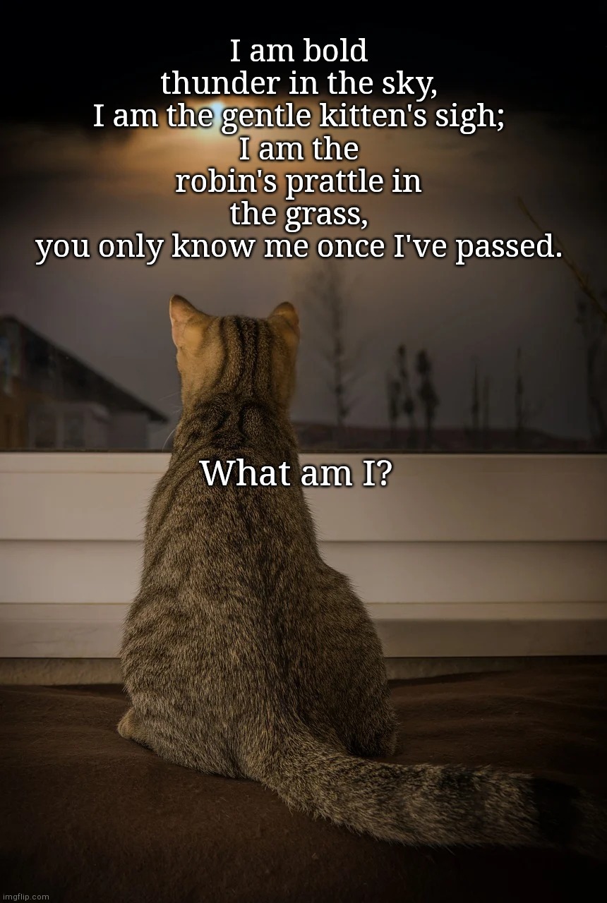 What am I? | I am bold thunder in the sky,
I am the gentle kitten's sigh;
I am the robin's prattle in the grass,
you only know me once I've passed. What am I? | image tagged in cat,riddle | made w/ Imgflip meme maker