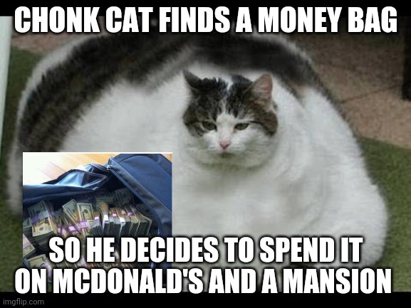 Chonk Cat's Lucky Day | CHONK CAT FINDS A MONEY BAG; SO HE DECIDES TO SPEND IT ON MCDONALD'S AND A MANSION | image tagged in fat cat | made w/ Imgflip meme maker