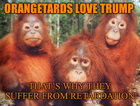 ORANGETARDS LOVE TRUMP THAT’S WHY THEY SUFFER FROM RETARDATION | made w/ Imgflip meme maker