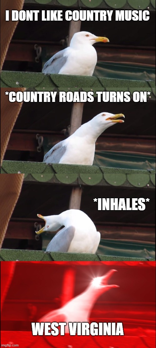 Inhaling Seagull Meme | I DONT LIKE COUNTRY MUSIC; *COUNTRY ROADS TURNS ON*; *INHALES*; WEST VIRGINIA | image tagged in memes,inhaling seagull | made w/ Imgflip meme maker