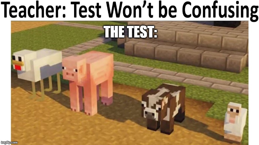 Test be like | THE TEST: | image tagged in test be like | made w/ Imgflip meme maker