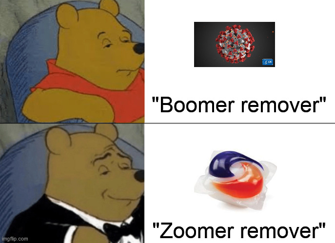 Life is an echo, kids.  Whatever you send out to it eventually comes back.  Sorry the mortality's so low, but watch that karma. | "Boomer remover"; "Zoomer remover" | image tagged in tuxedo winnie the pooh,covid-19,coronavirus,tide pod challenge,ok boomer | made w/ Imgflip meme maker