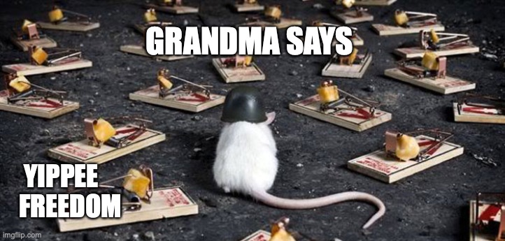 I'll be in my cage. Bring food. | GRANDMA SAYS; YIPPEE
FREEDOM | image tagged in mine minefield trap cheese mouse,covid19,corona virus,freedom,not safe | made w/ Imgflip meme maker
