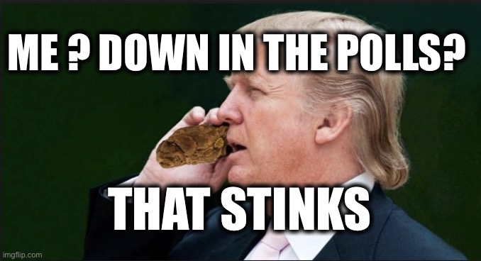ME ? DOWN IN THE POLLS? THAT STINKS | image tagged in memes,trump,gop,turds | made w/ Imgflip meme maker