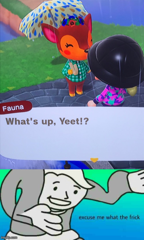 image tagged in excuse me what the frick,animal crossing | made w/ Imgflip meme maker