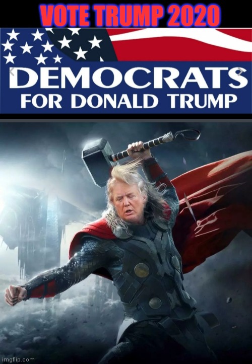 VOTE TRUMP 2020 | made w/ Imgflip meme maker