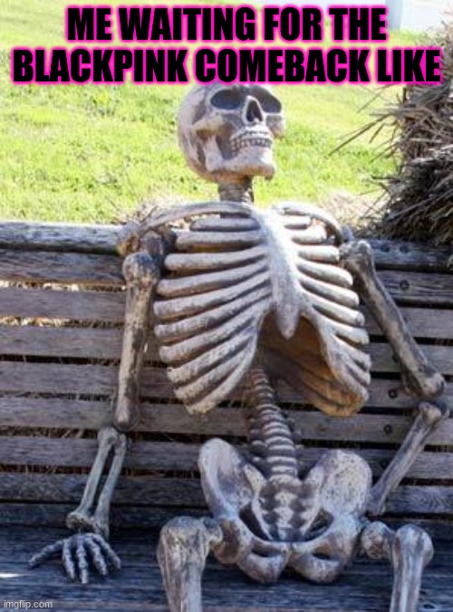 Waiting Skeleton Meme | ME WAITING FOR THE BLACKPINK COMEBACK LIKE | image tagged in memes,waiting skeleton | made w/ Imgflip meme maker