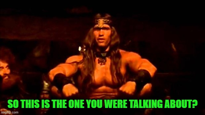 conan crush your enemies | SO THIS IS THE ONE YOU WERE TALKING ABOUT? | image tagged in conan crush your enemies | made w/ Imgflip meme maker