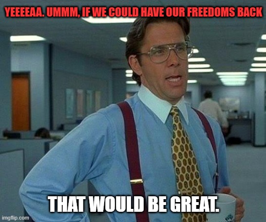 That Would Be Great | YEEEEAA. UMMM, IF WE COULD HAVE OUR FREEDOMS BACK; THAT WOULD BE GREAT. | image tagged in memes,that would be great | made w/ Imgflip meme maker