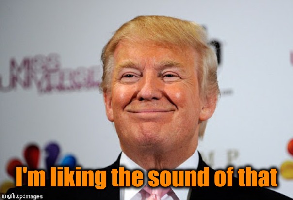 Donald trump approves | I'm liking the sound of that | image tagged in donald trump approves | made w/ Imgflip meme maker