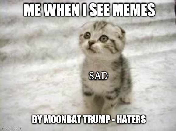 SAD KITTY | ME WHEN I SEE MEMES; SAD; BY MOONBAT TRUMP - HATERS | image tagged in memes,sad cat | made w/ Imgflip meme maker