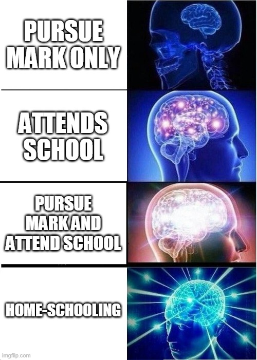 Homeschooling | PURSUE MARK ONLY; ATTENDS SCHOOL; PURSUE MARK AND ATTEND SCHOOL; HOME-SCHOOLING | image tagged in memes,expanding brain | made w/ Imgflip meme maker
