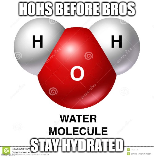 Remember, HOHs before bros. | HOHS BEFORE BROS; STAY HYDRATED | image tagged in educational,water,bros,dad joke,chemistry | made w/ Imgflip meme maker