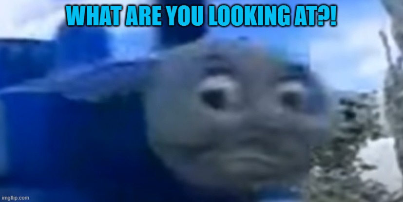 WHAT ARE YOU LOOKING AT?! | made w/ Imgflip meme maker