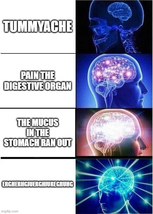 Expanding Brain | TUMMYACHE; PAIN THE DIGESTIVE ORGAN; THE MUCUS IN THE STOMACH RAN OUT; ERGHERHGIUERGHIUREGRUHG | image tagged in memes,expanding brain | made w/ Imgflip meme maker