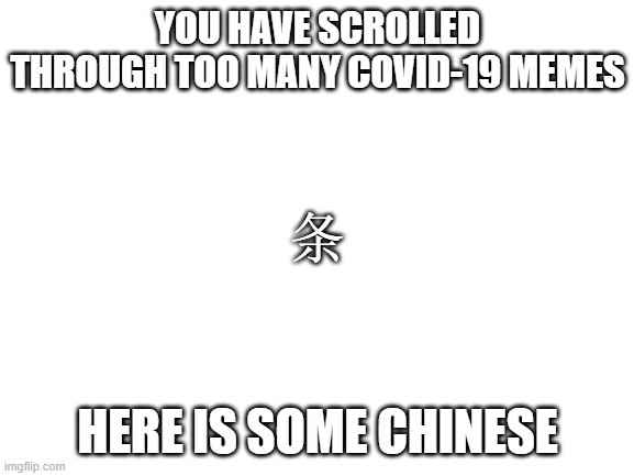 Blank White Template | YOU HAVE SCROLLED THROUGH TOO MANY COVID-19 MEMES; 条; HERE IS SOME CHINESE | image tagged in blank white template,covid-19,chinese | made w/ Imgflip meme maker