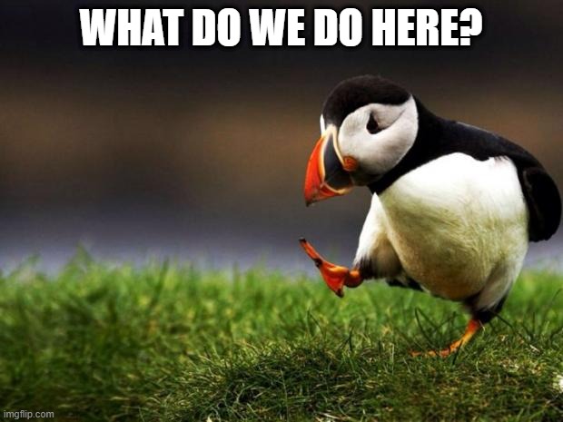Unpopular Opinion Puffin |  WHAT DO WE DO HERE? | image tagged in memes,unpopular opinion puffin | made w/ Imgflip meme maker
