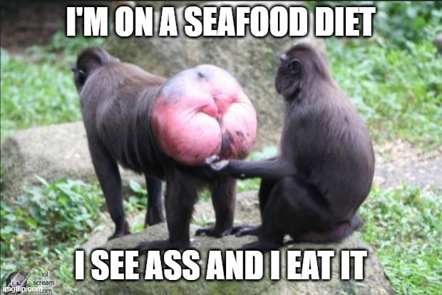 Baboon bottom | I'M ON A SEAFOOD DIET; I SEE ASS AND I EAT IT | image tagged in baboon bottom | made w/ Imgflip meme maker